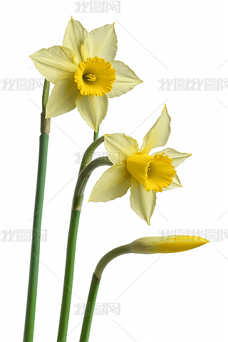 D@ʾ(g)Aˮɻ_(ki)ňDƬ