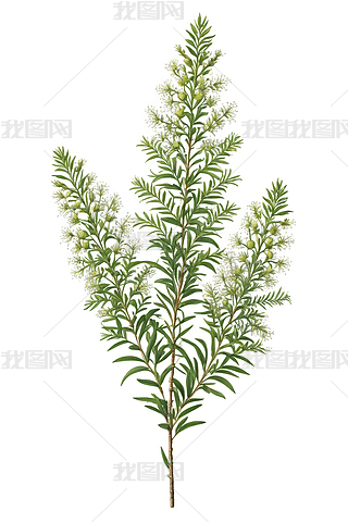 ǧӲ(sh)ֲֲW(xu)D宋(hu)