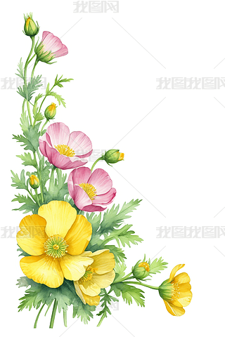 һ紺ëݢˮʲD