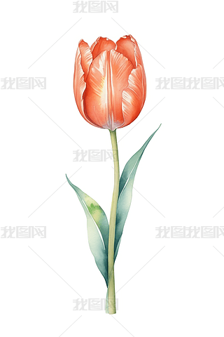 ˮLɺ㻨ԪO(sh)ӋՈR宋