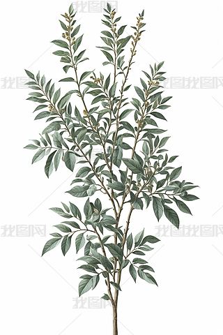 ֲW(xu)ֲٵ̲D宋(hu)