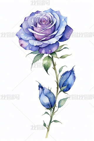 ˮʮ͸õ廨{(ln)ɫɫ宋