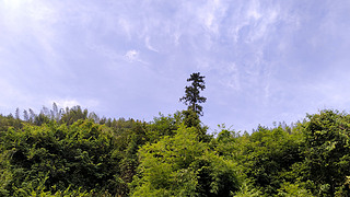 ɽzӰD L(fng) ȻL(fng)