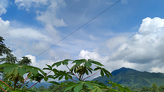 ɽzӰD L(fng) ȻL(fng)