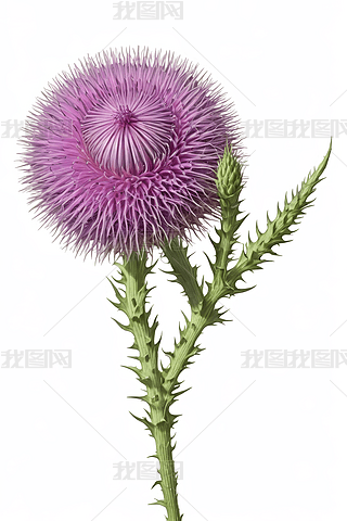 Ec(din)^Ec(din)^oëE宋