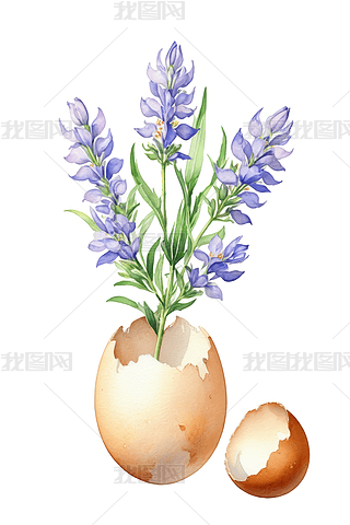 С㻨L(zhng)LˮʲDɫ宋