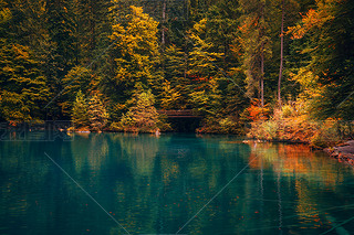 կLɽֺˮ
