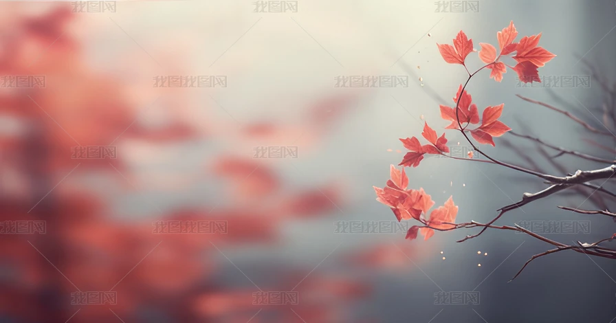 ľ~