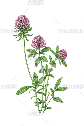 t~ݼt~ֲW(xu)D宋(hu)