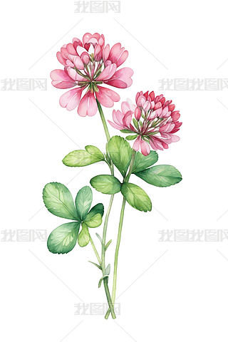 tɫҰ~ݻLˮʲDɫ宋(hu)