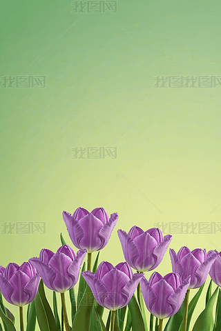 Ⱦw㻨ܴGɫ󱳾