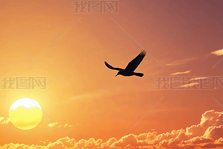 ժҪһֻBw豳̫ꖸDƬ