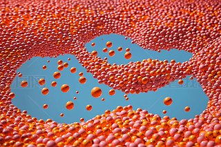 Ưڿ՚еķۼtɫ|(zh)ɫwDƬ