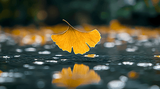̘IzӰȻyӘ~Ưˮ