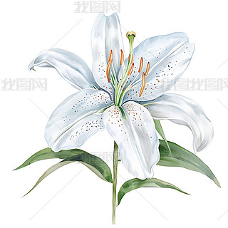 Ľzһ(f)ˮʮDAIDƬز