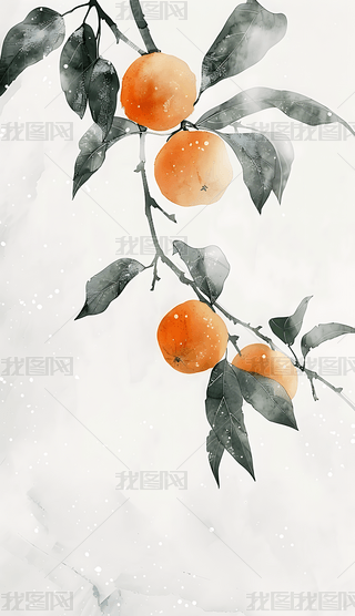 ¶⺆sˮīwѩ˪ز02