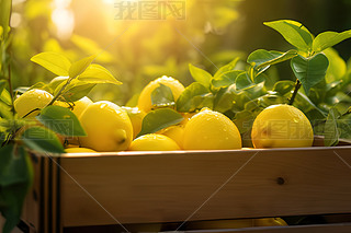 ժrʷڹ@@ˇr(nng)I(y)ľ