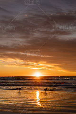 ߅ăֻt̫(yng)(li)ĉɫдֱzӰ