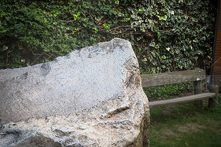 õϢZ(y)GɫľʵĴʯ^