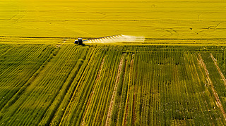 r(nng)I(y)r(nng)C(j)ˎʩʹl(xing)彛(jng)(j)l(f)չ