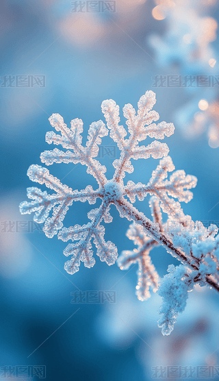 ԭ(chung)2024(ji)ѩ󱳾ʸز