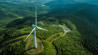 ɽL(fng)l(f)늵L(fng)܇Դɽ^(q)L(fng)