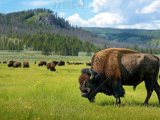 ˮҰţ[[GɫݵƽoسԲ