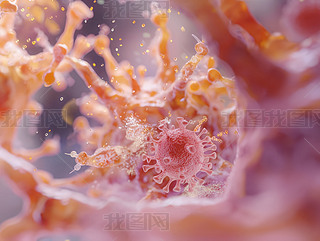 D@ʾԔ(x)w(x)Y(ji)(gu)