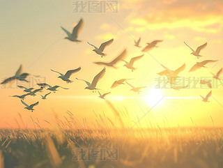 һȺBճw茎o(2)