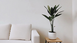 ɫ(jin)s҃(ni)O(sh)Ӌ(j)һǼb