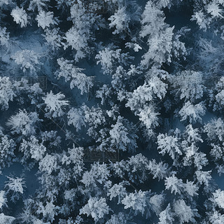 ѩֲ7