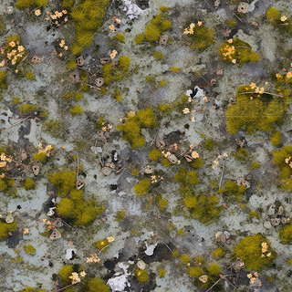 ̦\ݵ(6)