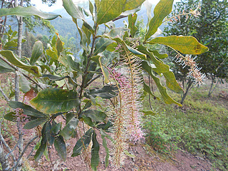 زˮֲﻨʢ_(ki)(jin)(jin)