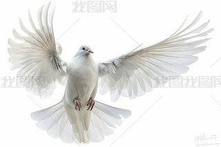 һֻof(yn)չ_
