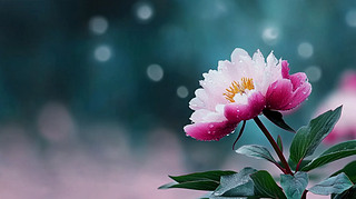 ⹫@ʢ_(ki)õ廨ˮֲ