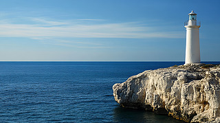 {(ln)ɫһ(d)ğڎrʯϵؘ(bio)