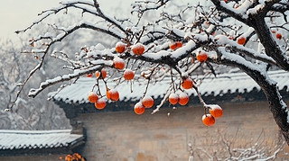 ļtӘѩѩ
