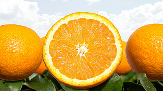 _(ki)rˮ،(xi)r(nng)a(chn)Ʒˮ