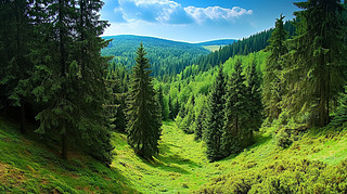 ͏dľ|(zh)һGɫԾGֲ