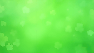 ~ݲ