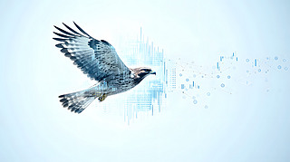 宋L(fng)ƴ(l)־I(y)Ļ