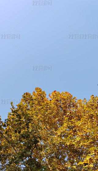 {(ln)춬(yng)SyӘ(sh)