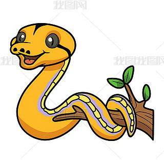 ɐɫɫӿ֧ͨ