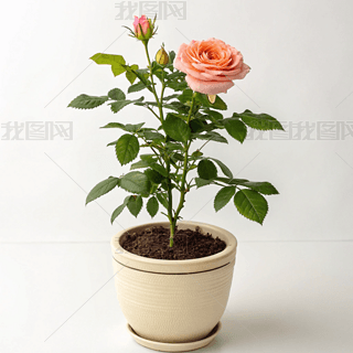 õ廨СL(fng)zӰDsˇg(sh)̘I(y)ز