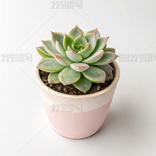 СL(fng)zӰD(jin)sˇg(sh)̘I(y)ز