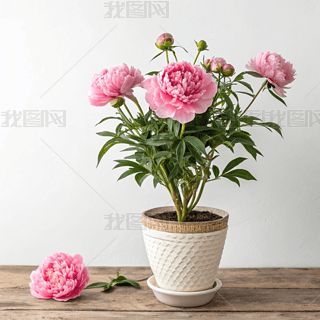 ĵСzӰDsL(fng)̘I(y)زĄ(chung)O(sh)Ӌ