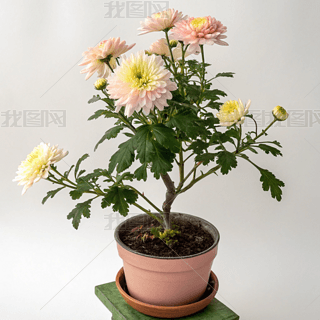 軨СL(fng)zӰDsˇg(sh)̘I(y)ز