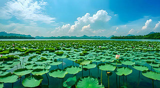 ɻ~_l(f)edO(sh)Ӌ(j)D