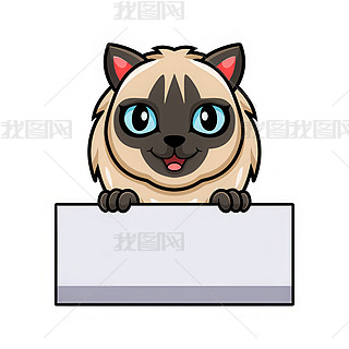 ɐ۰u؈eпհטәC(j)