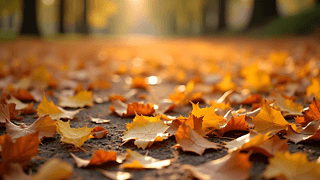 hɢڵϵ~DƬ